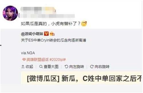 圈内大佬爆料小虎完整版,小虎完整版爆料内幕大起底 第2张 圈内大佬爆料小虎完整版,小虎完整版爆料内幕大起底 第2张